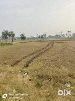 4.5 Bigha Land for Sale in Kaliganj Durgapur |