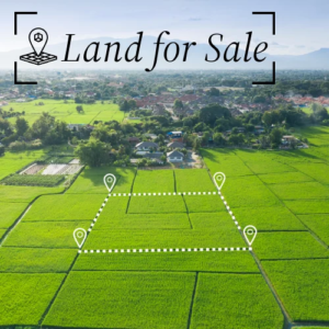 100 Bigha Agriculture Land for Sale in Durgapur